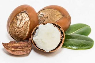 Best Organic Shea Butter and Its Benefits